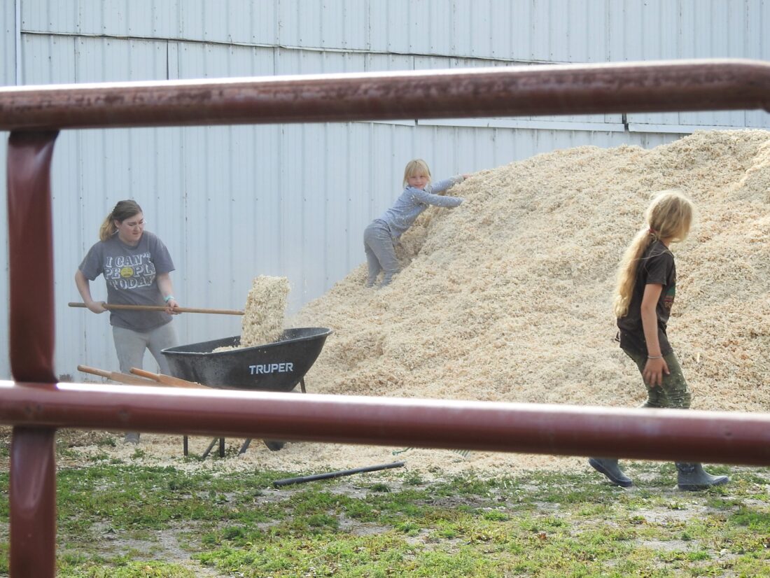 Horse shows highlight opening of Alpena County Fair News, Sports